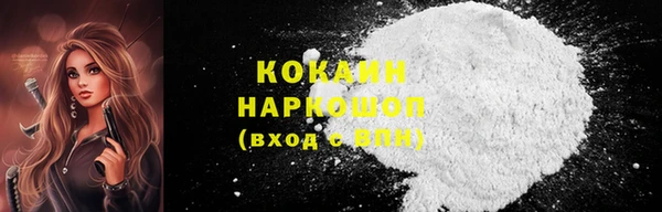 стафф Алзамай