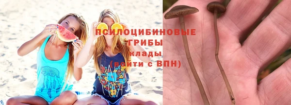 стафф Алзамай