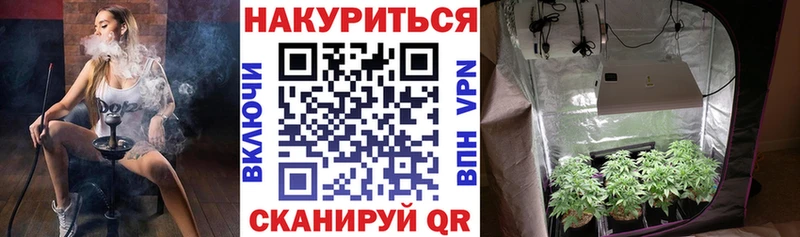Бошки марихуана THC 21%  наркота  Кизел 